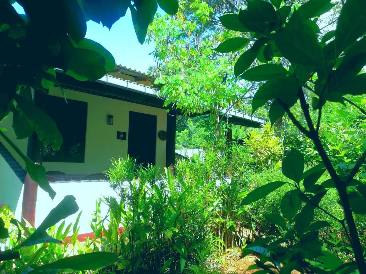 Lakmal Homestay ,10 Minutes To Sigiriya Rock Eksteriør billede