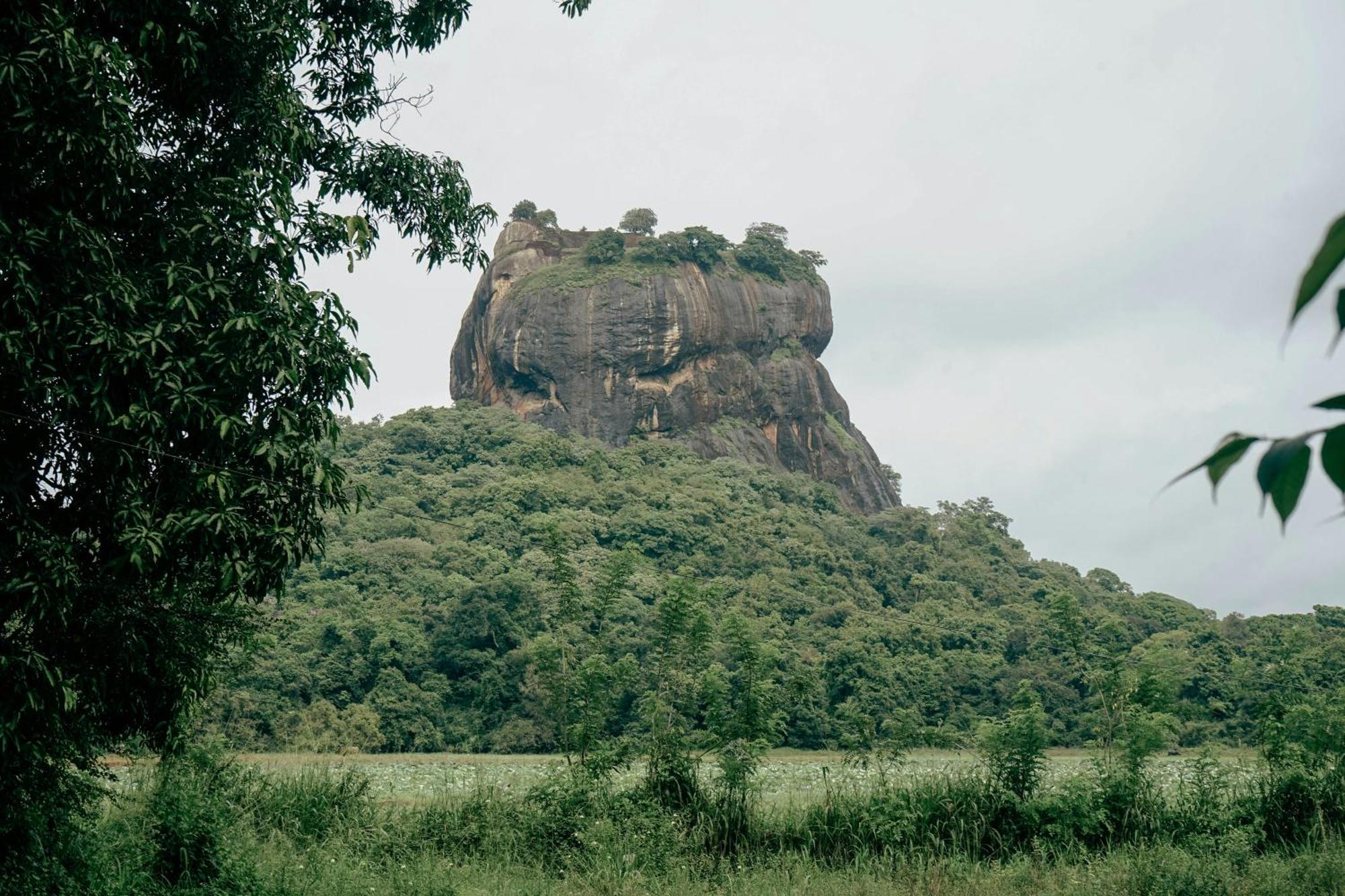 Lakmal Homestay ,10 Minutes To Sigiriya Rock Eksteriør billede