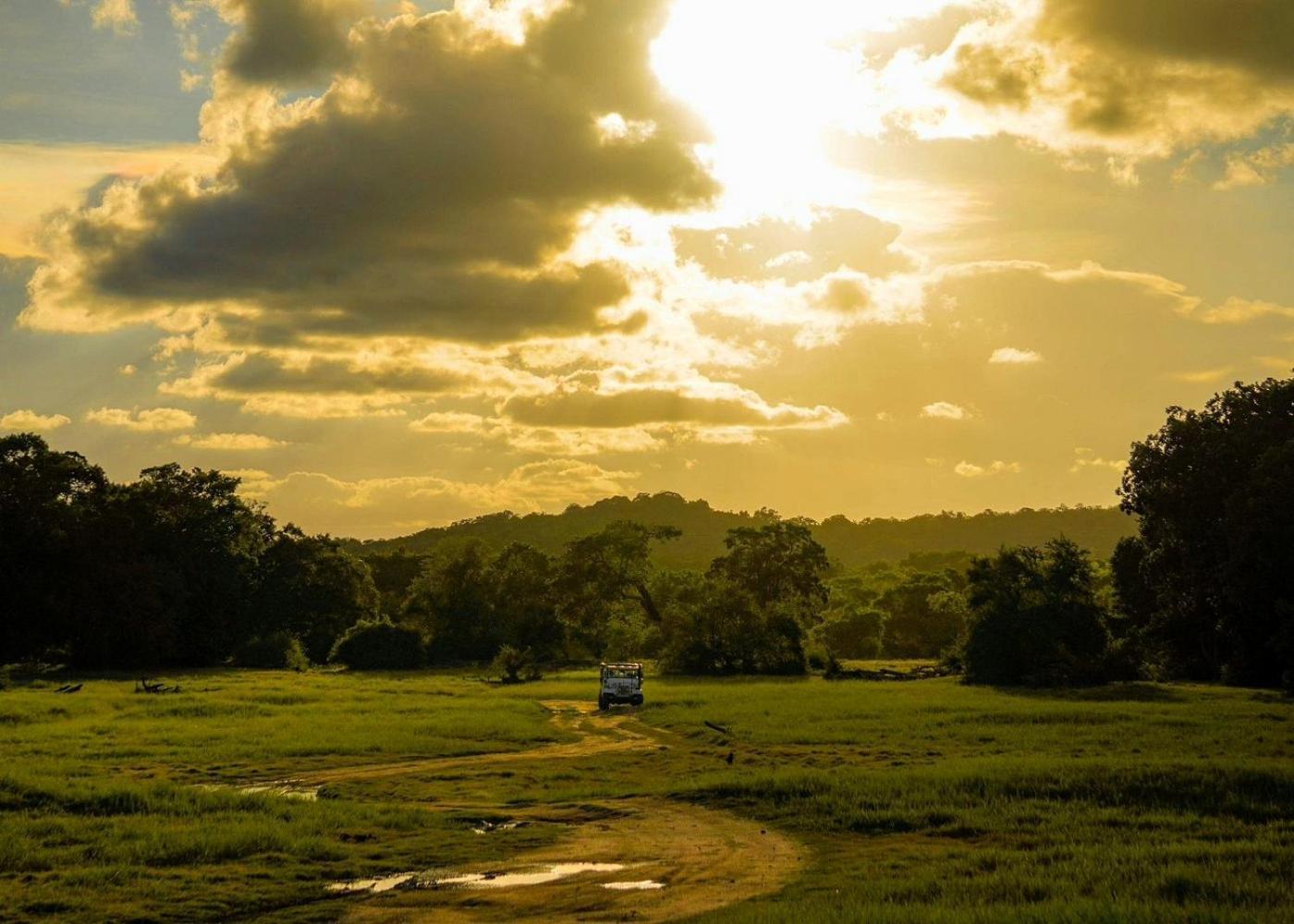 Lakmal Homestay ,10 Minutes To Sigiriya Rock Eksteriør billede